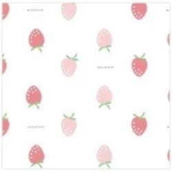 strawberry_lazada